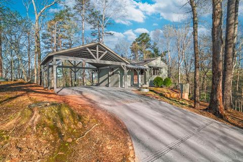 253 Zenith Trail Ellijay GA 30540