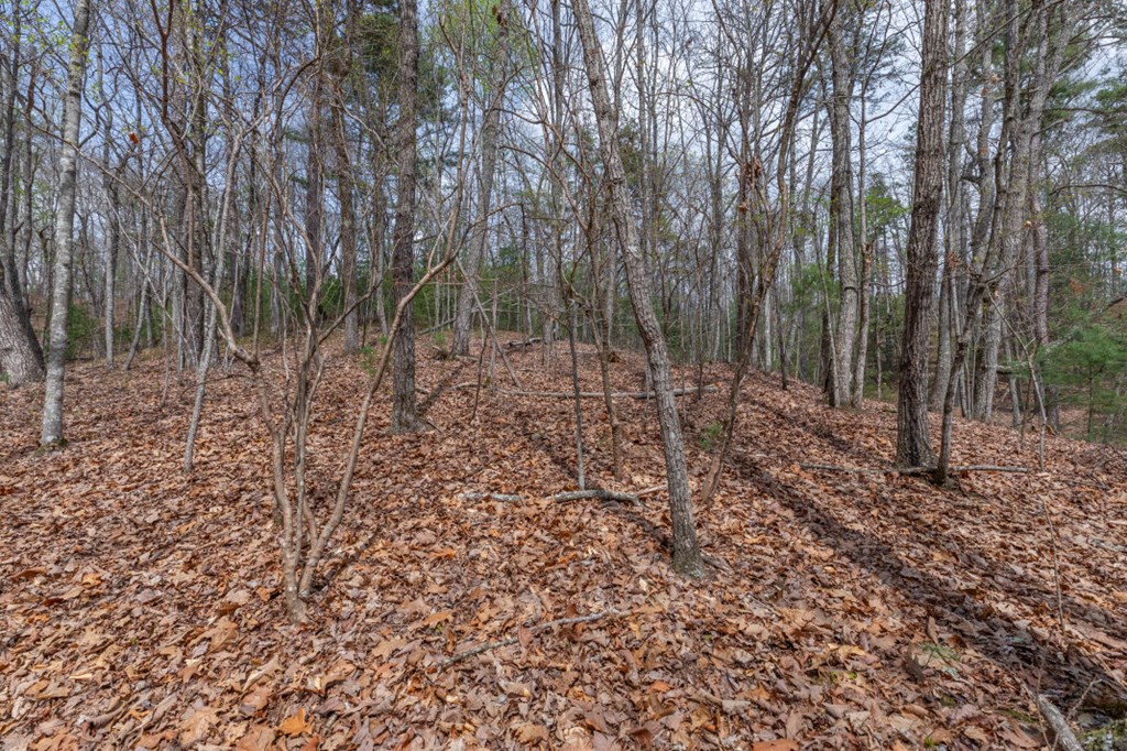 Lot 7A Glenridge Way