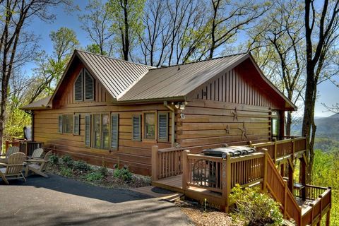 783 Moreland Drive N Cherry Log GA 30522