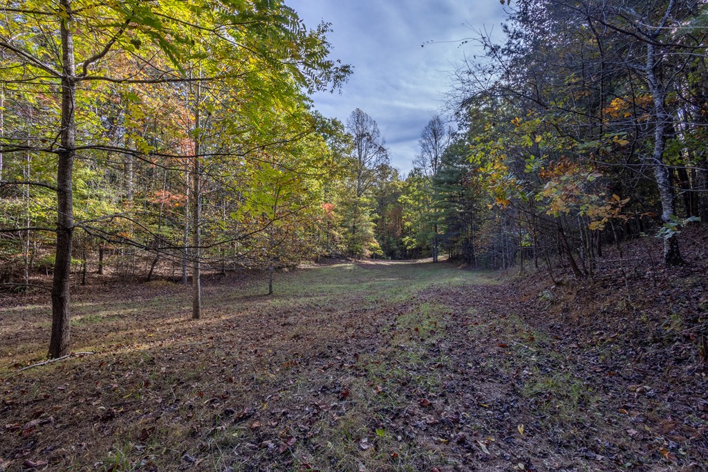 300 Springbrook Lane