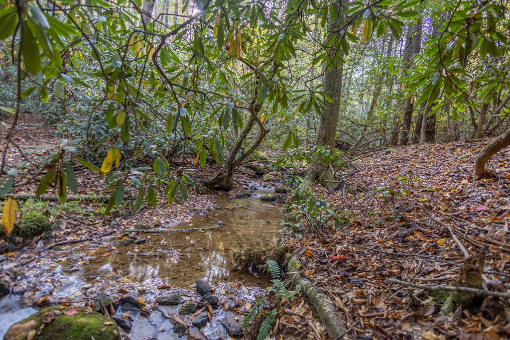 300 Springbrook Lane