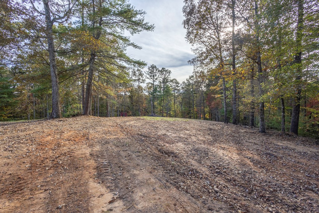 300 Springbrook Lane