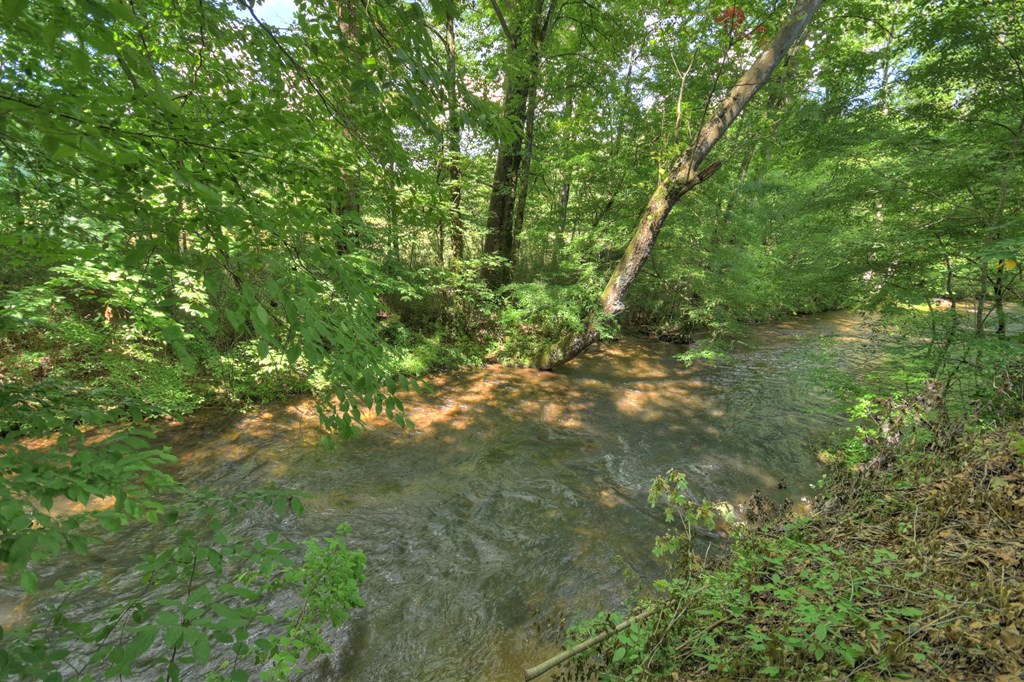 4525 Gates Chapel Road