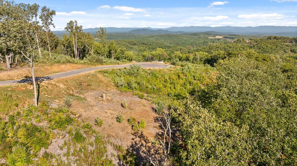Lot 169 Gray Bluff Trail