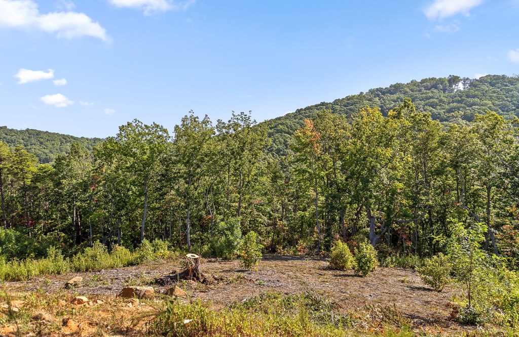 Lot 169 Gray Bluff Trail