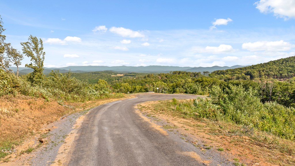 Lot 169 Gray Bluff Trail