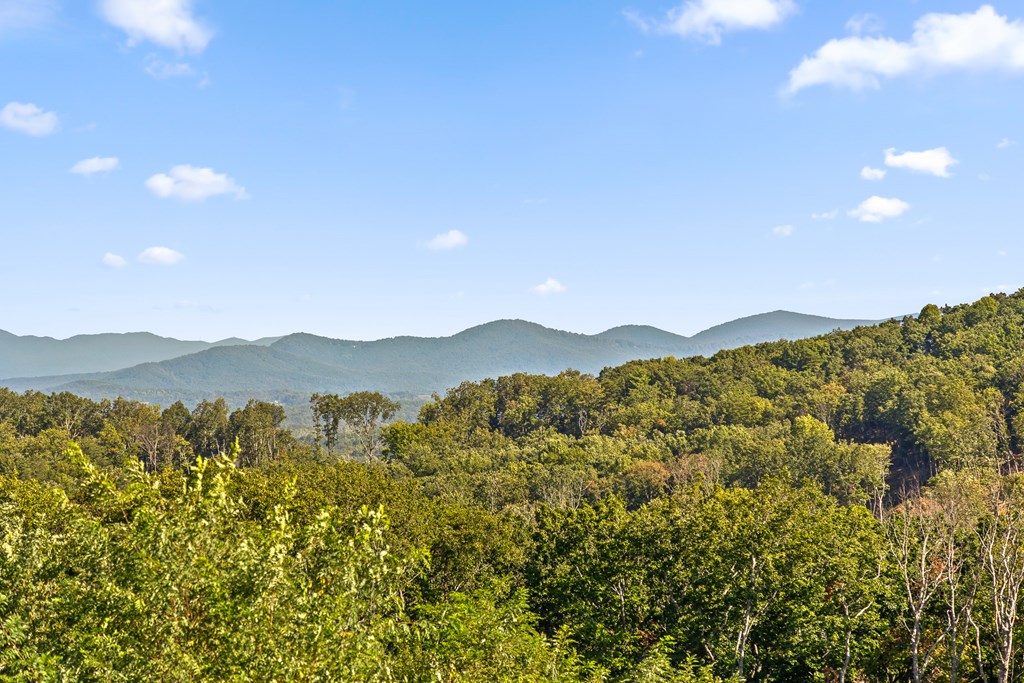 Lot 169 Gray Bluff Trail