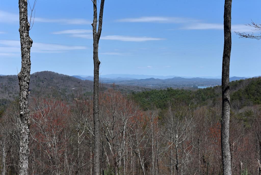 167 Majestic View Lane