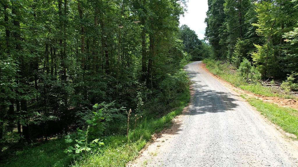 Lot 159 Jumper Drive