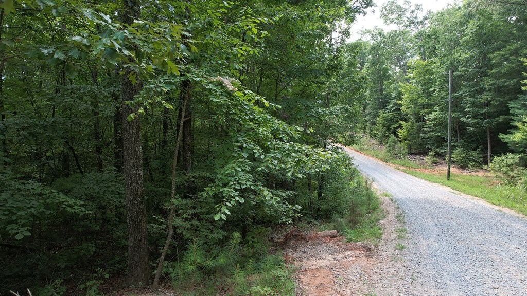 Lot 159 Jumper Drive