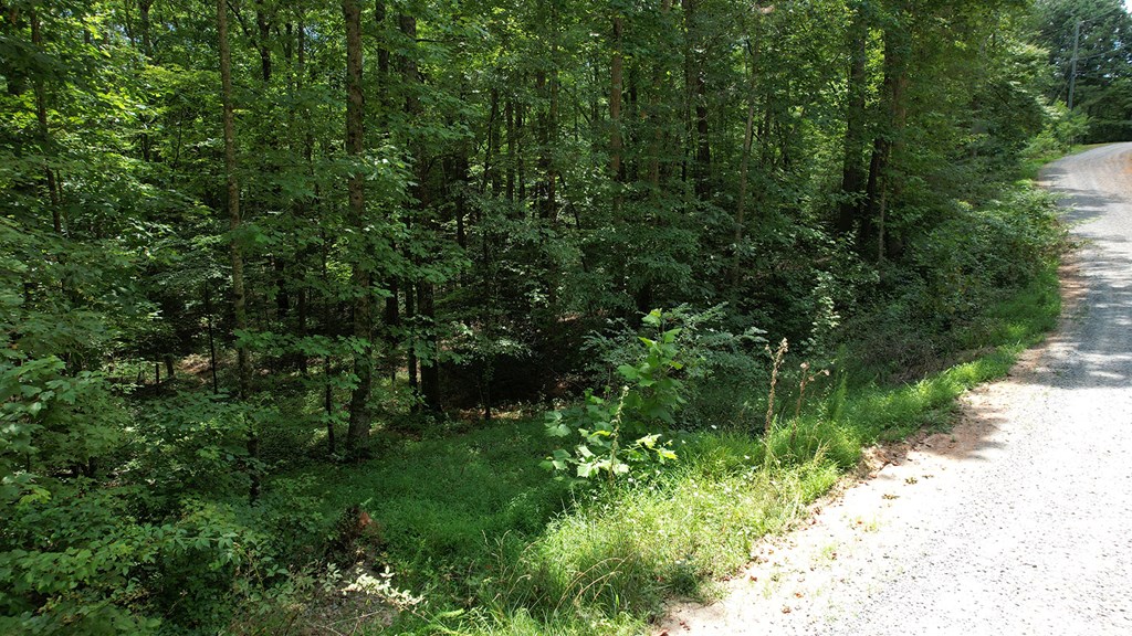 Lot 159 Jumper Drive