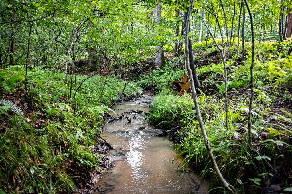 136 Windy Valley Way