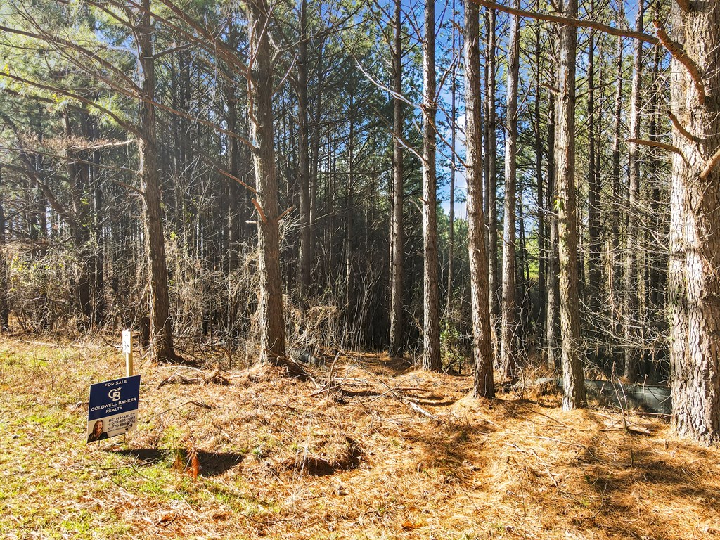 0 Foxpaw Leaf Lane