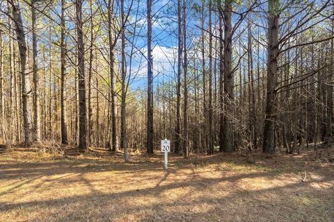 0 Foxpaw Leaf Lane Ellijay GA 30536