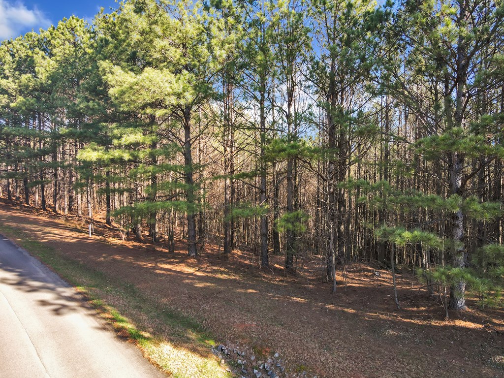 0 Foxpaw Leaf Lane