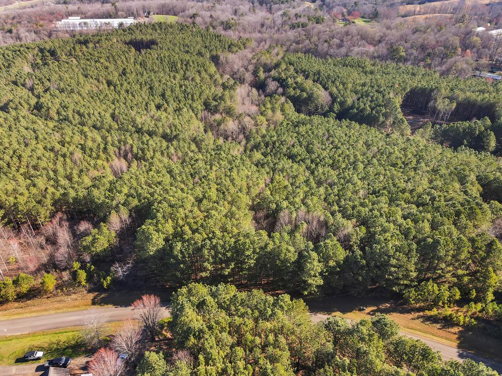 0 Foxpaw Leaf Lane
