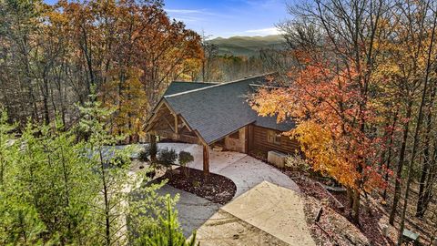 307 Big Timber Road Mineral Bluff GA 30559