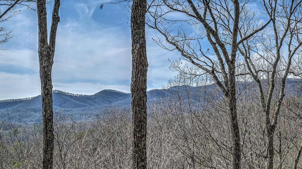 203 Chimney Rock Road