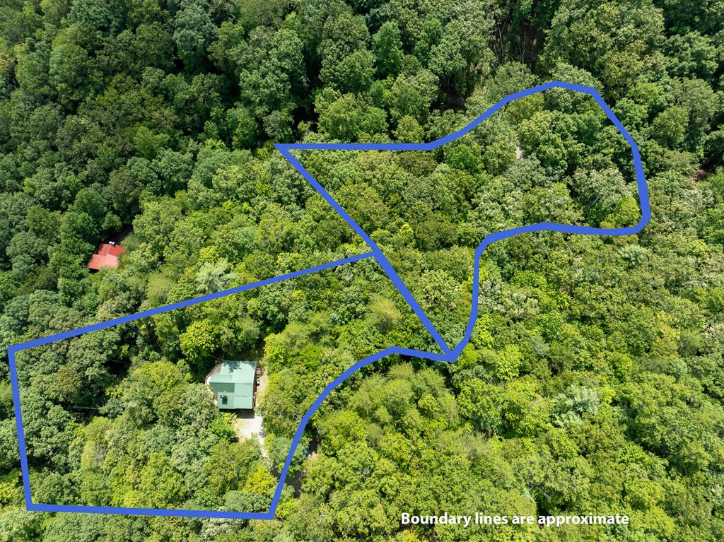 476 Prince Mountain Road