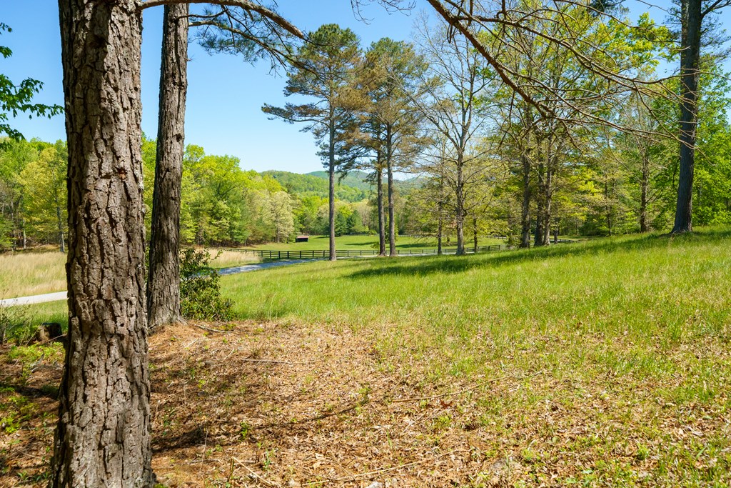 Lot 3 Spring Camp Road