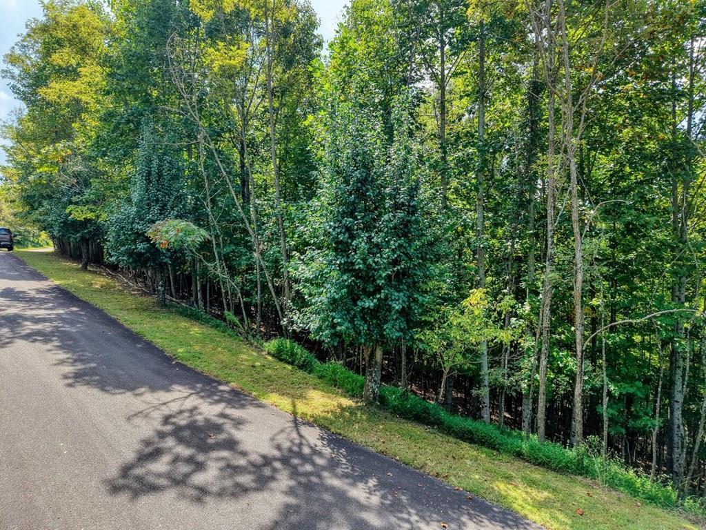 Lot 32 Westside Drive