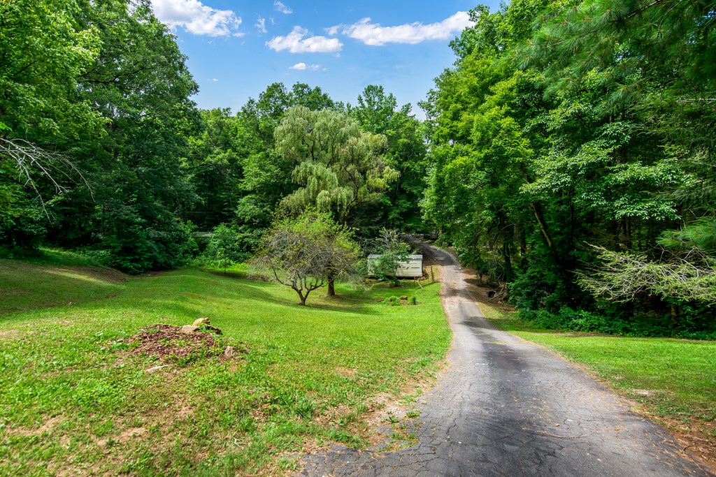 1459 Ray Mountain Road