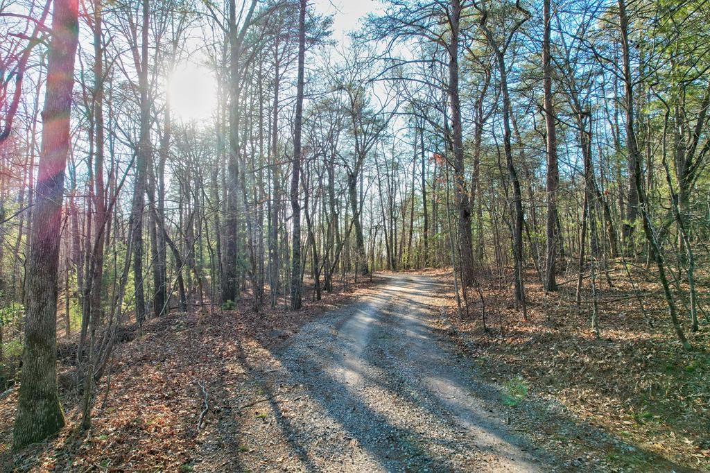 0 MT Mt Mcgruder Rd- 48.26 Acres