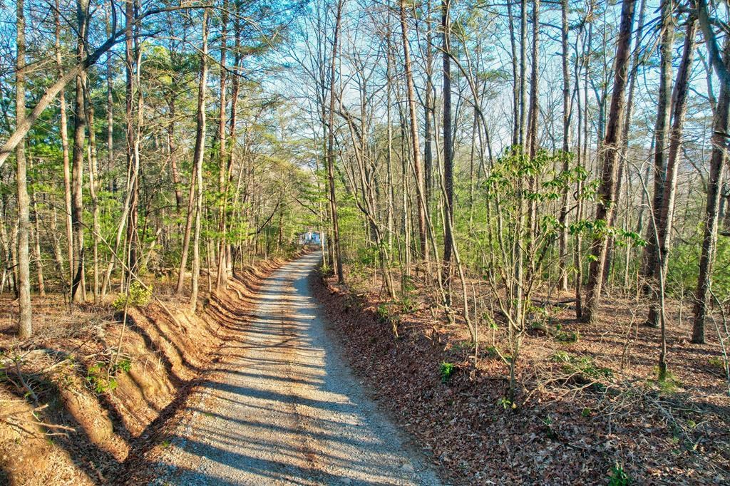 0 MT Mt Mcgruder Rd- 48.26 Acres