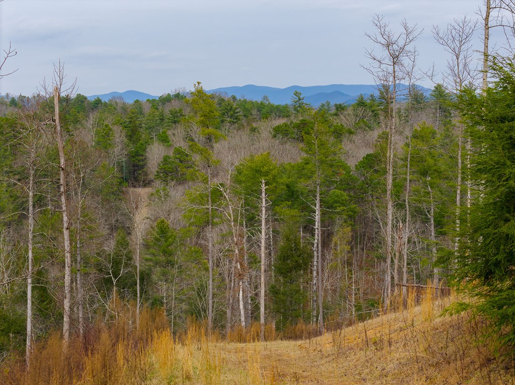 Tract A Hicks Ford Road