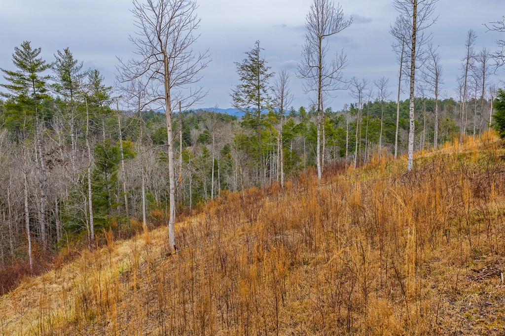 Tract A Hicks Ford Road