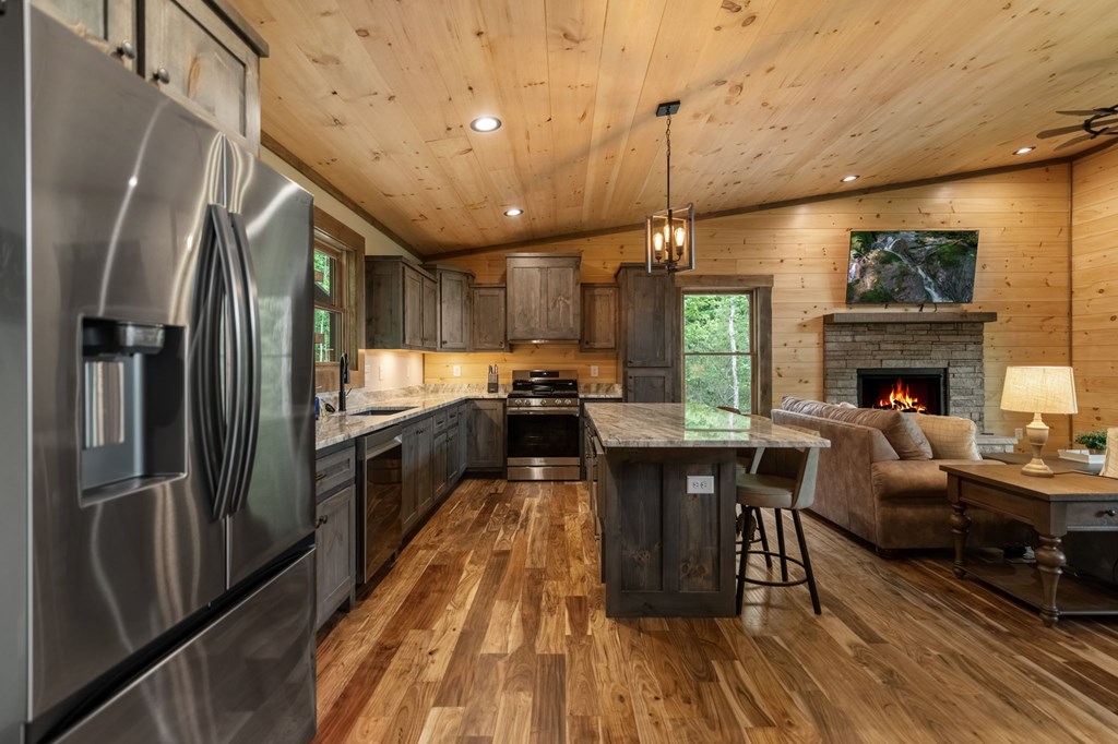 171 Cohutta Overlook Lane