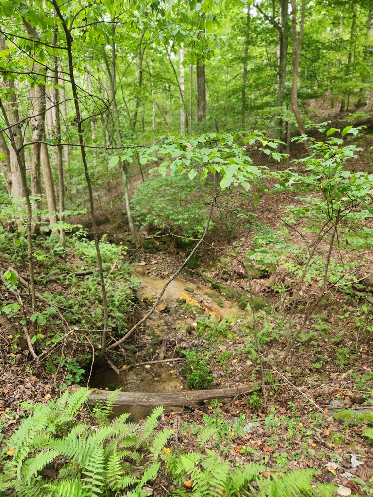 Lot 133 Shiloh Court