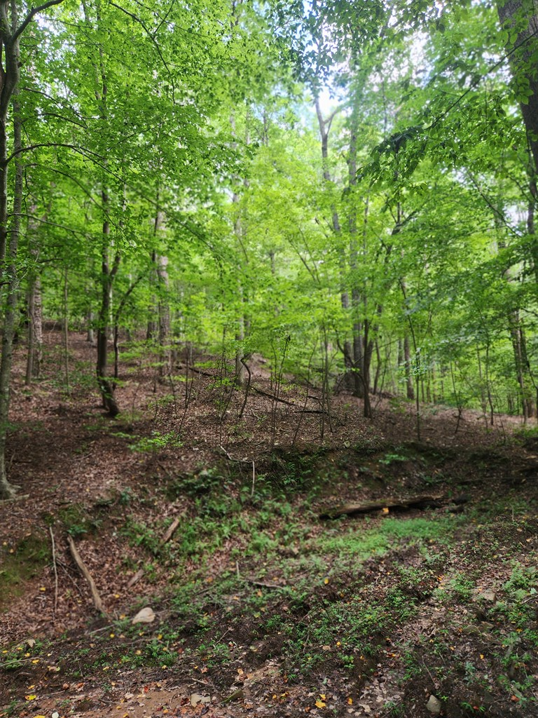 Lot 133 Shiloh Court