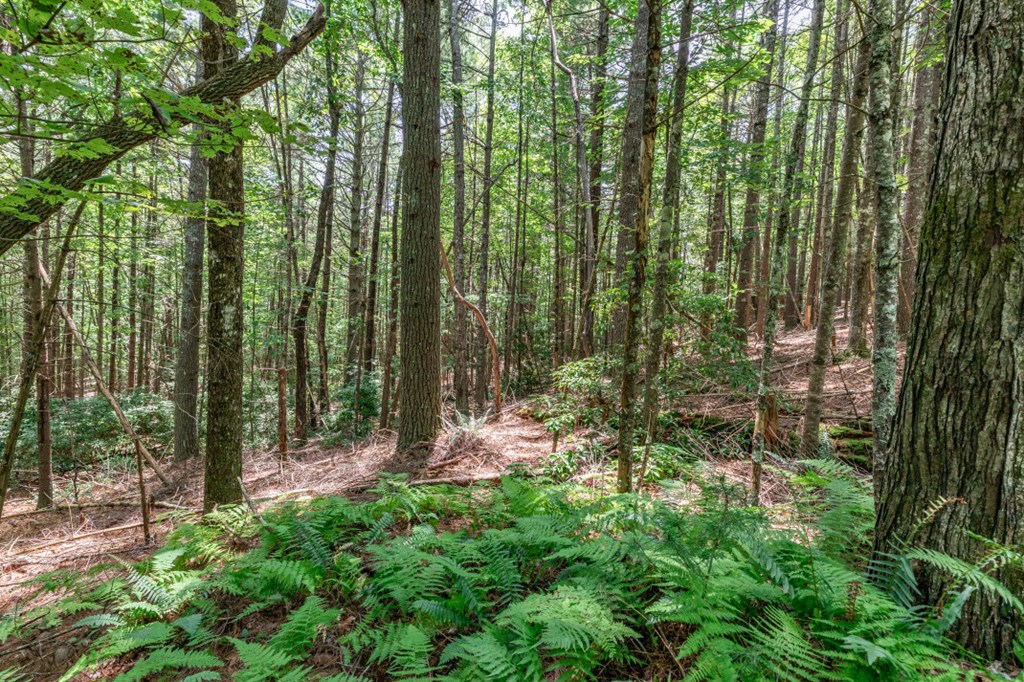 Lot 15 Rocking Chair Ridge