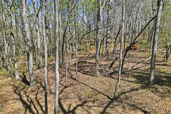 129 HERITAGE PLANTATION DR, BALL GROUND, GA 30107 - Image ecac7ec75d4faddaef2c7511588eecf2/386511572