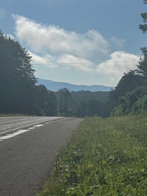 125 OLD HIGHWAY 64, COPPERHILL, TN 37317 - Image eccd91f3867fc4c708ffc2f1c7d8fb28/286839037