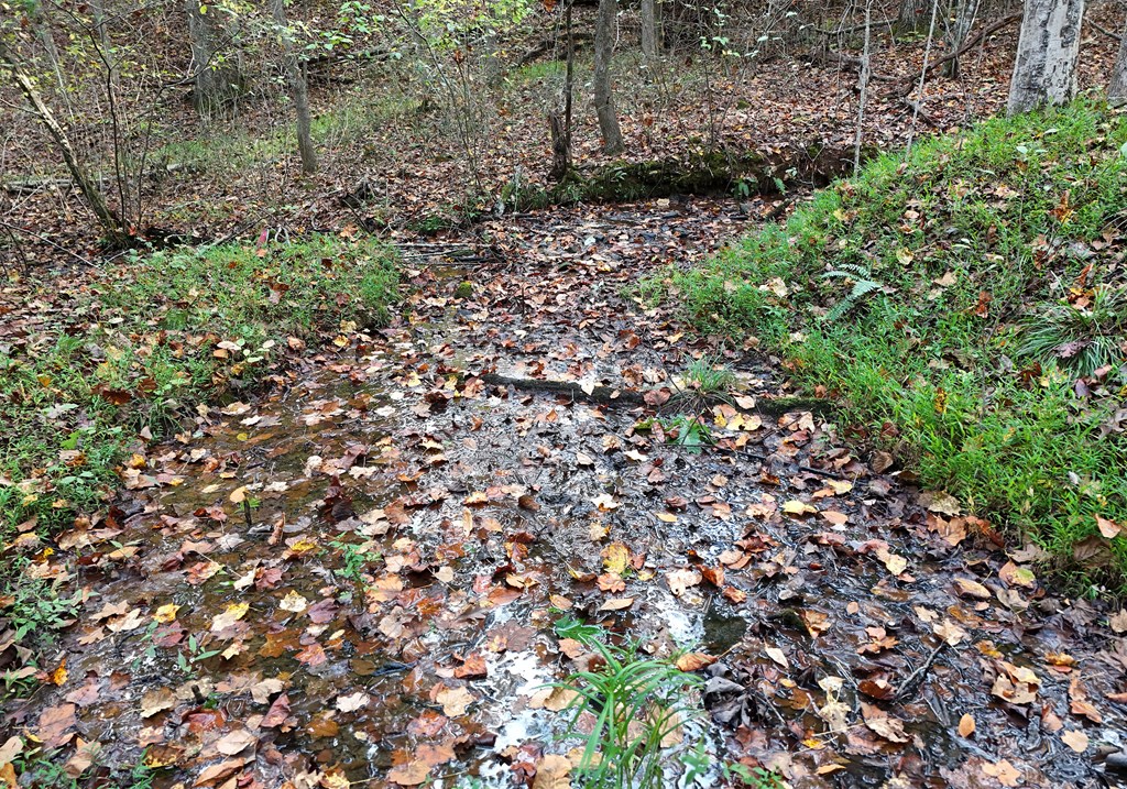 4742 Timberline Sunset Drive