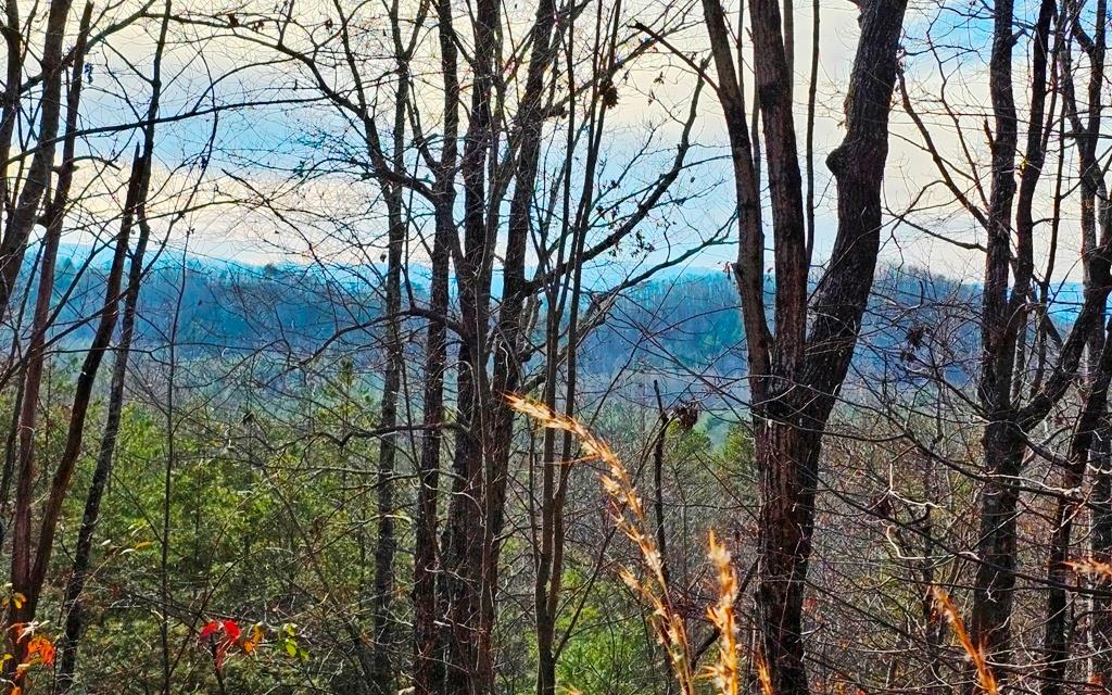 Lot 80 Graystone Drive