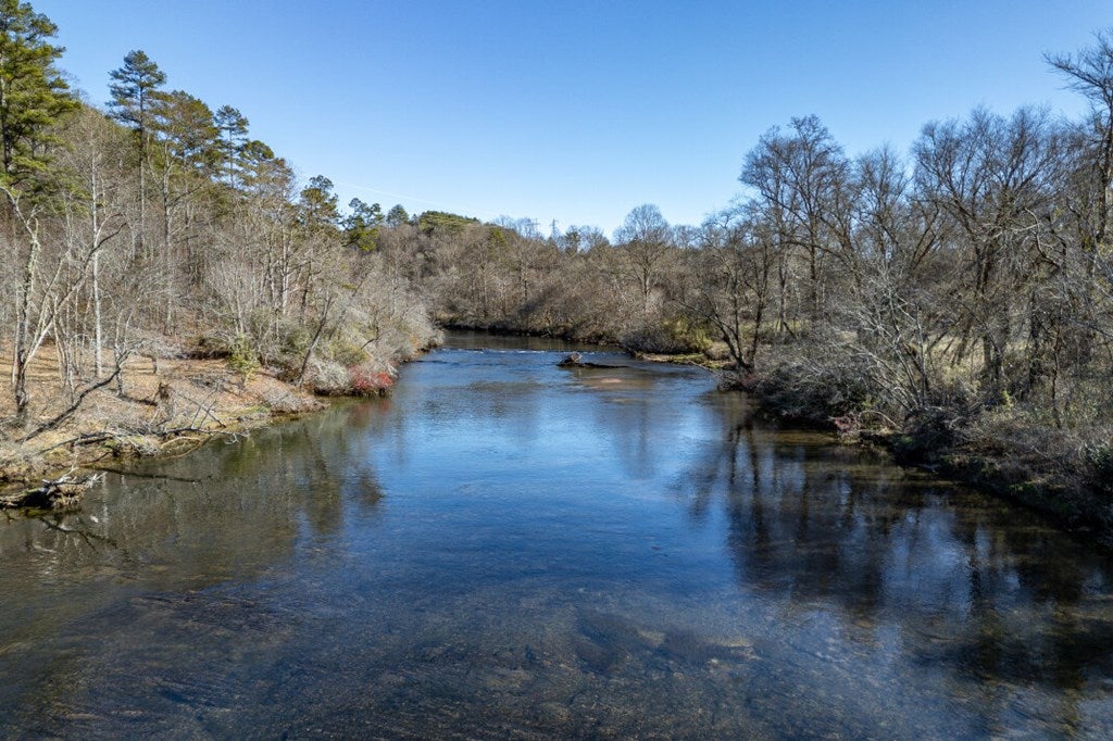 Lot 29 Toccoa River Forest