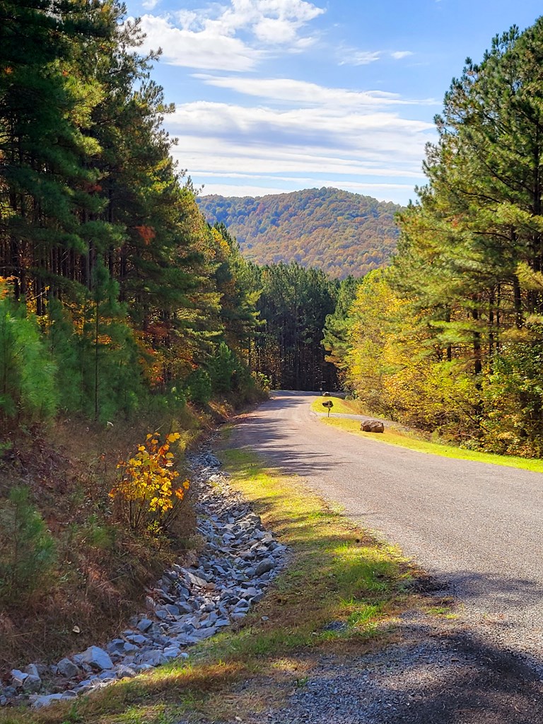 LOT 6 Black Bear Ridge Road