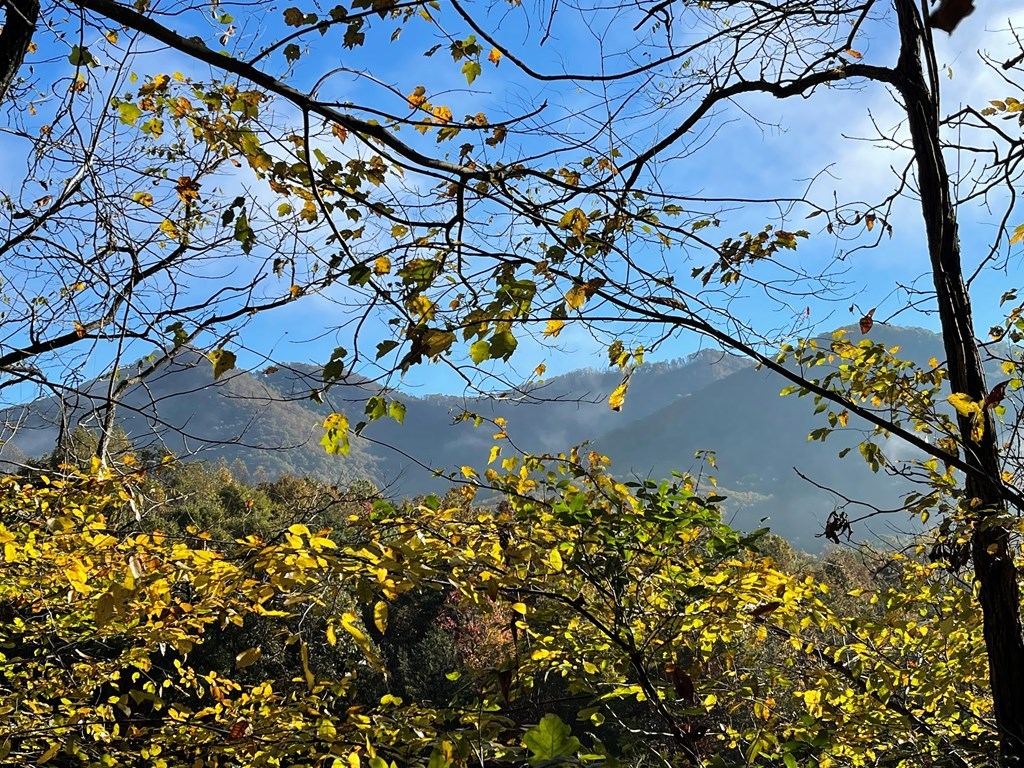 Lot 132A Meadow Ridge Drive