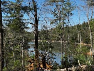 92 Misty Mountain Trail