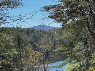 92 Misty Mountain Trail