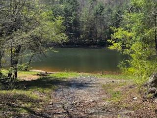 92 Misty Mountain Trail