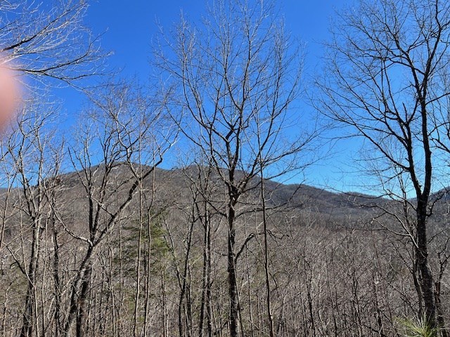 Lot 10 Mountain Valley View