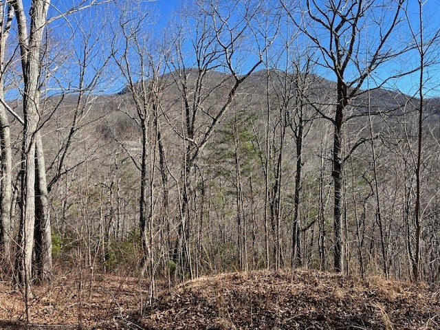 Lot 10 Mountain Valley View