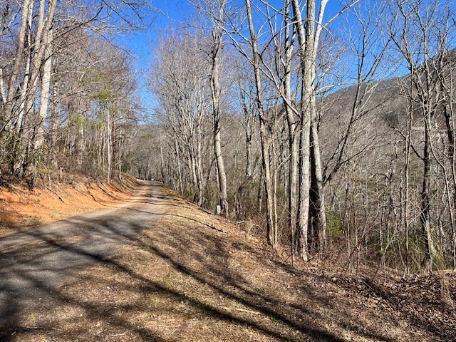 Lot 10 Mountain Valley View