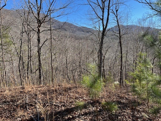 Lot 10 Mountain Valley View