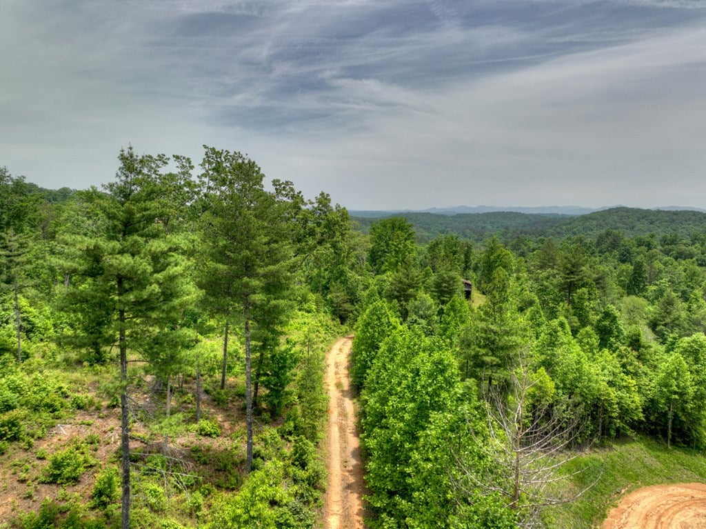 7.5 ac Hidden Acres