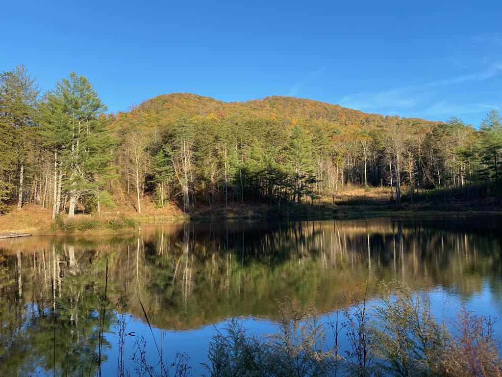 1941 Old Northcutt Road